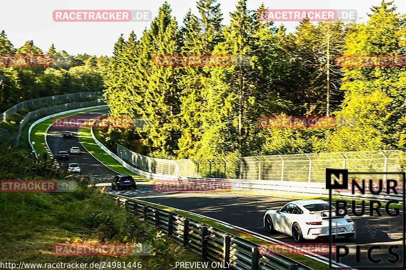 Bild #24981446 - Touristenfahrten Nürburgring Nordschleife (01.10.2023)