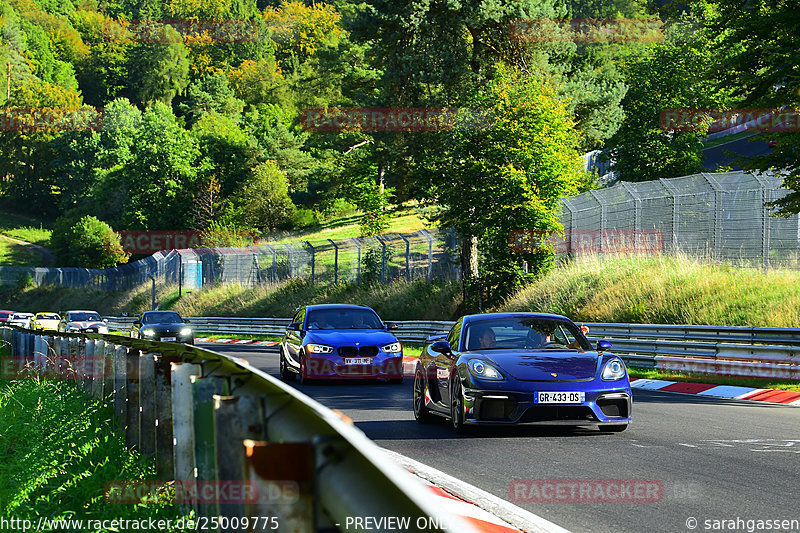 Bild #25009775 - Touristenfahrten Nürburgring Nordschleife (01.10.2023)