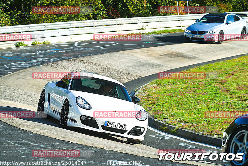 Bild #25014047 - Touristenfahrten Nürburgring Nordschleife (01.10.2023)