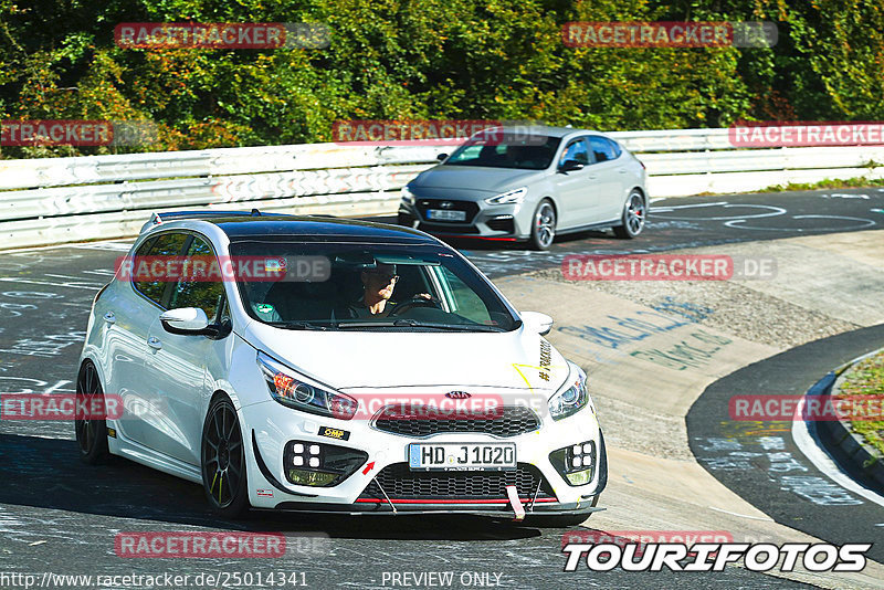 Bild #25014341 - Touristenfahrten Nürburgring Nordschleife (01.10.2023)