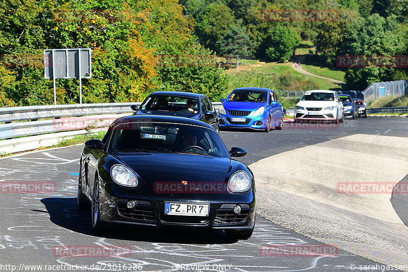 Bild #25016286 - Touristenfahrten Nürburgring Nordschleife (01.10.2023)