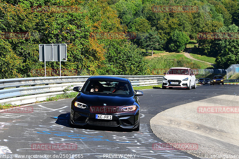 Bild #25016665 - Touristenfahrten Nürburgring Nordschleife (01.10.2023)