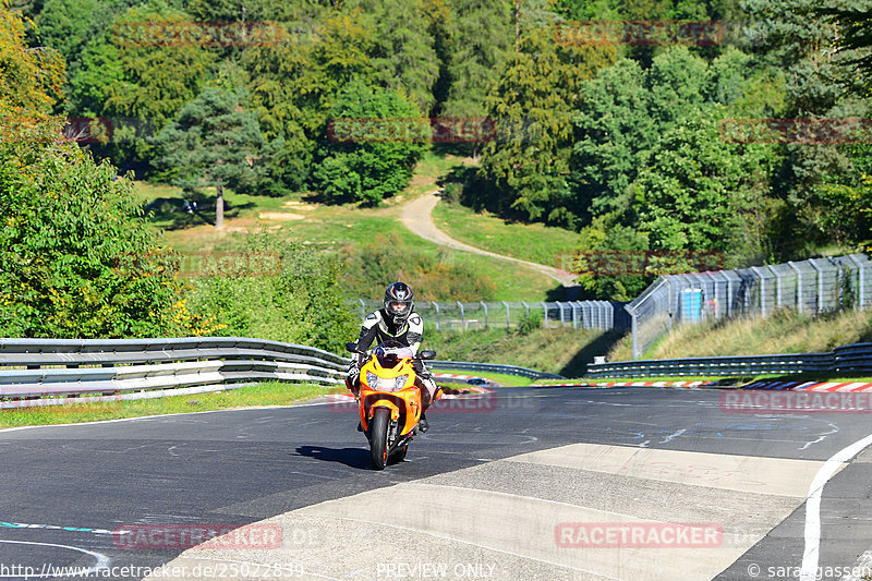 Bild #25022839 - Touristenfahrten Nürburgring Nordschleife (01.10.2023)