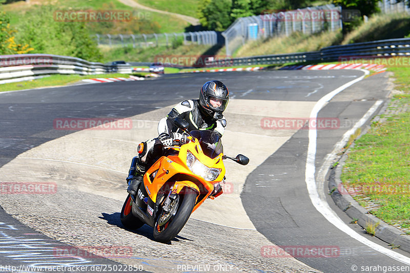 Bild #25022850 - Touristenfahrten Nürburgring Nordschleife (01.10.2023)