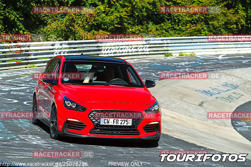 Bild #25028256 - Touristenfahrten Nürburgring Nordschleife (01.10.2023)