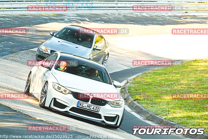 Bild #25029925 - Touristenfahrten Nürburgring Nordschleife (01.10.2023)