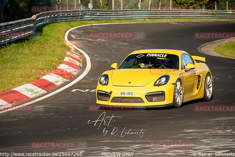 Bild #25047266 - Touristenfahrten Nürburgring Nordschleife (02.10.2023)