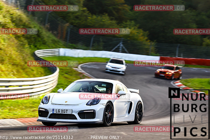 Bild #25114312 - Touristenfahrten Nürburgring Nordschleife (02.10.2023)