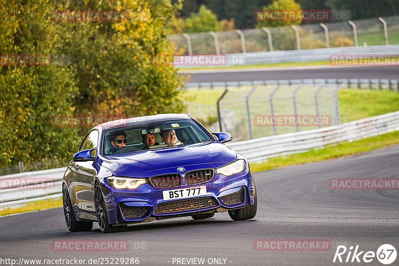 Bild #25229286 - Touristenfahrten Nürburgring Nordschleife (05.10.2023)