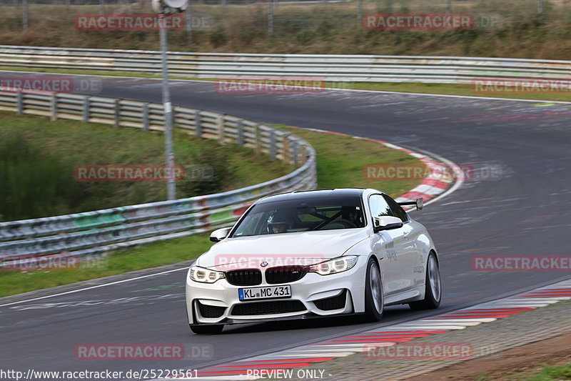 Bild #25229561 - Touristenfahrten Nürburgring Nordschleife (05.10.2023)