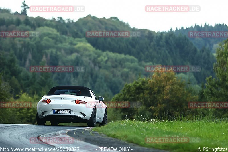 Bild #25230827 - Touristenfahrten Nürburgring Nordschleife (05.10.2023)