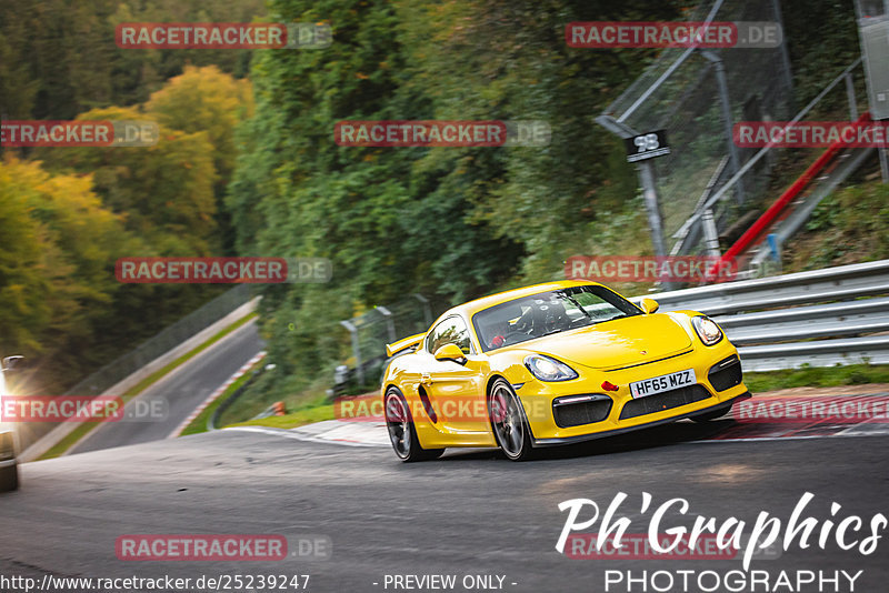 Bild #25239247 - Touristenfahrten Nürburgring Nordschleife (07.10.2023)