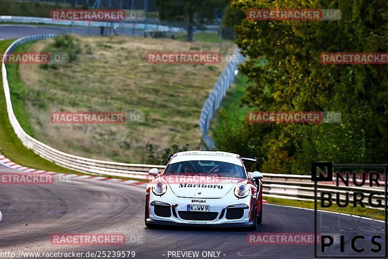 Bild #25239579 - Touristenfahrten Nürburgring Nordschleife (07.10.2023)