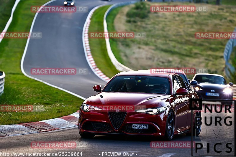 Bild #25239664 - Touristenfahrten Nürburgring Nordschleife (07.10.2023)