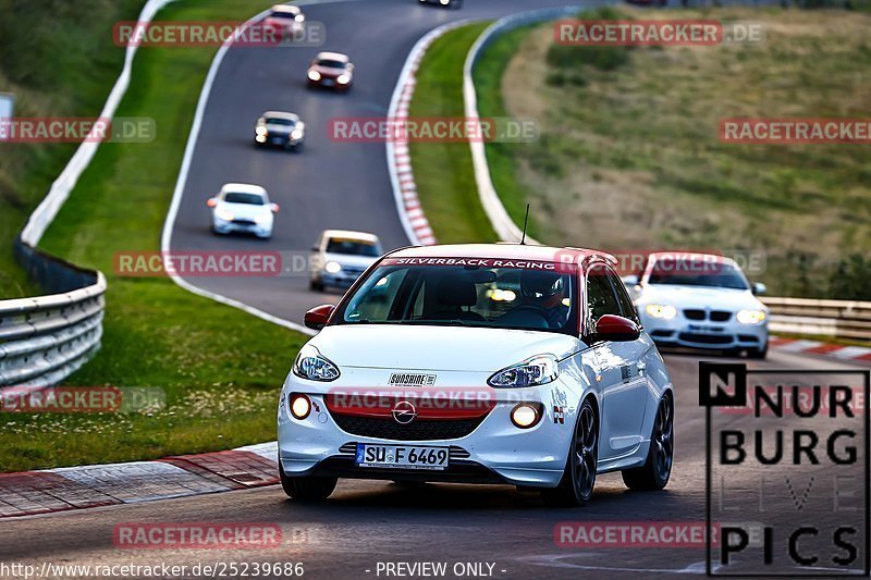 Bild #25239686 - Touristenfahrten Nürburgring Nordschleife (07.10.2023)