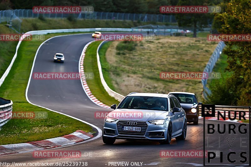 Bild #25239738 - Touristenfahrten Nürburgring Nordschleife (07.10.2023)