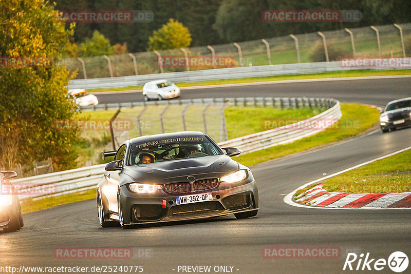 Bild #25240775 - Touristenfahrten Nürburgring Nordschleife (07.10.2023)