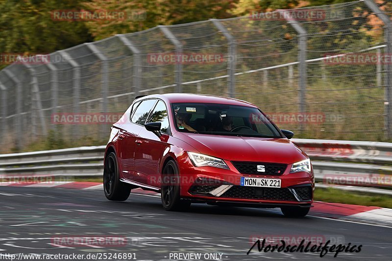 Bild #25246891 - Touristenfahrten Nürburgring Nordschleife (08.10.2023)