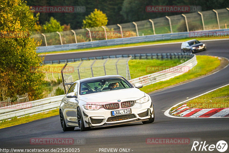 Bild #25250025 - Touristenfahrten Nürburgring Nordschleife (08.10.2023)