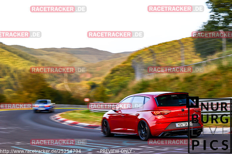 Bild #25254794 - Touristenfahrten Nürburgring Nordschleife (08.10.2023)