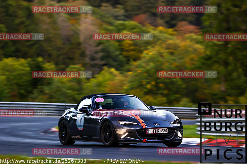 Bild #25267303 - Touristenfahrten Nürburgring Nordschleife (09.10.2023)