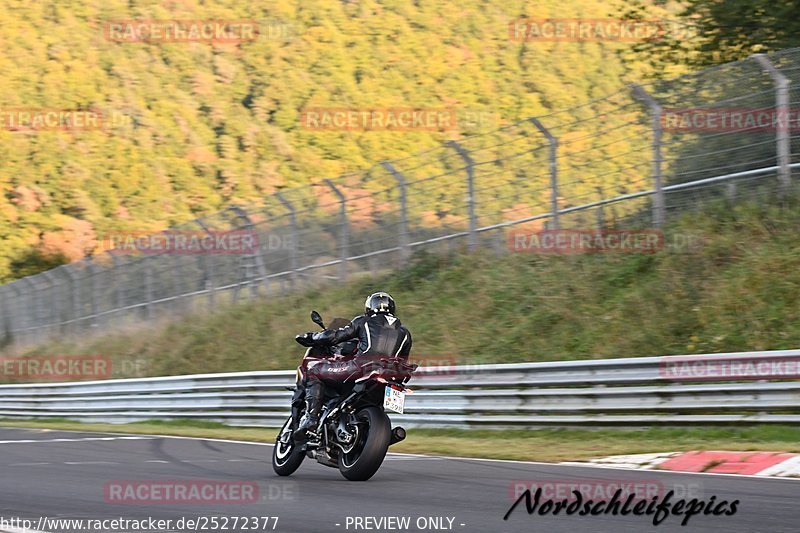 Bild #25272377 - Touristenfahrten Nürburgring Nordschleife (10.10.2023)