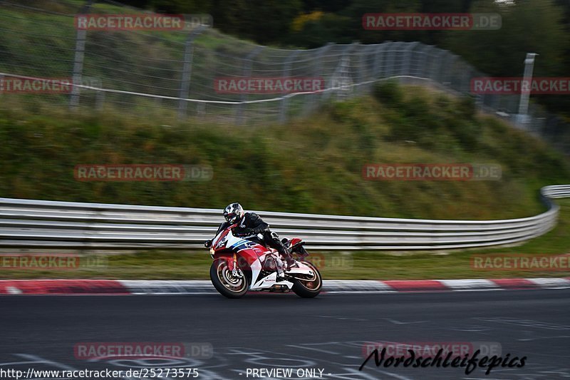 Bild #25273575 - Touristenfahrten Nürburgring Nordschleife (10.10.2023)