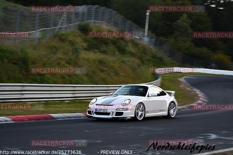 Bild #25273636 - Touristenfahrten Nürburgring Nordschleife (10.10.2023)