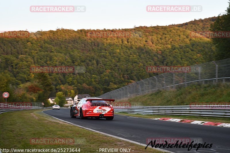 Bild #25273644 - Touristenfahrten Nürburgring Nordschleife (10.10.2023)