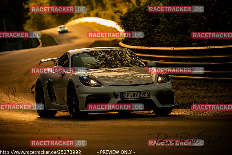 Bild #25273992 - Touristenfahrten Nürburgring Nordschleife (10.10.2023)