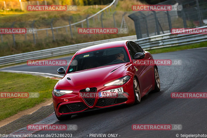 Bild #25286203 - Touristenfahrten Nürburgring Nordschleife (10.10.2023)