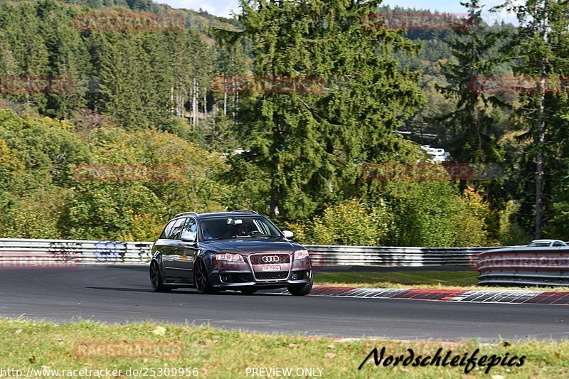 Bild #25309956 - Touristenfahrten Nürburgring Nordschleife (14.10.2023)