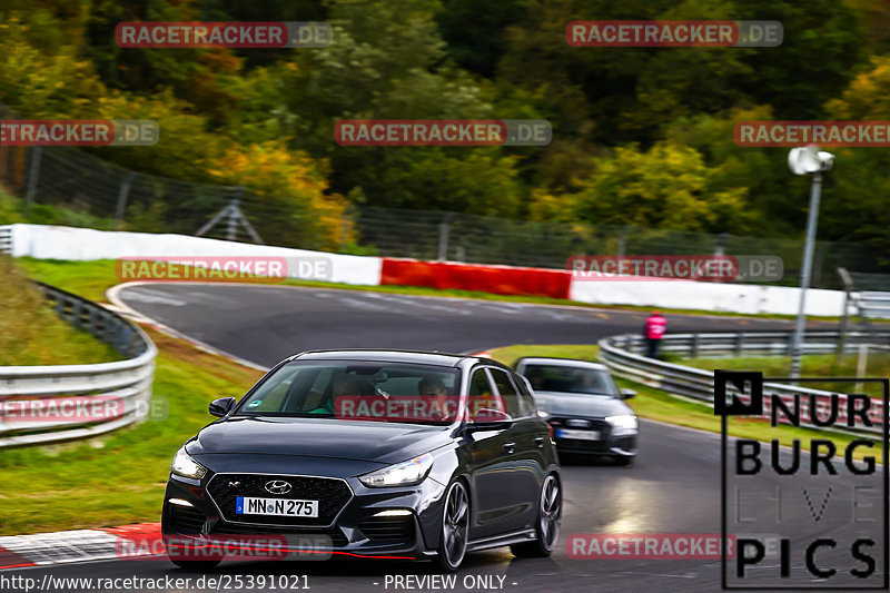 Bild #25391021 - Touristenfahrten Nürburgring Nordschleife (14.10.2023)