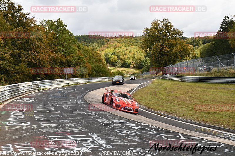 Bild #25397388 - Touristenfahrten Nürburgring Nordschleife (15.10.2023)