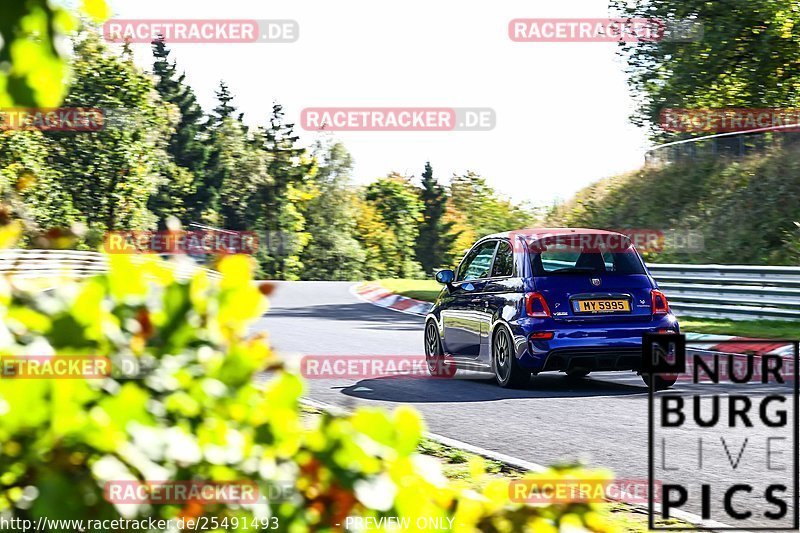 Bild #25491493 - Touristenfahrten Nürburgring Nordschleife (21.10.2023)