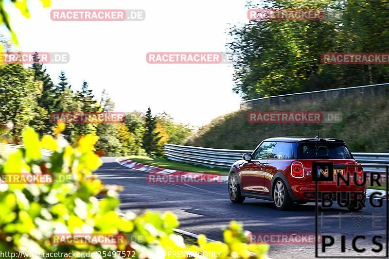 Bild #25497572 - Touristenfahrten Nürburgring Nordschleife (21.10.2023)