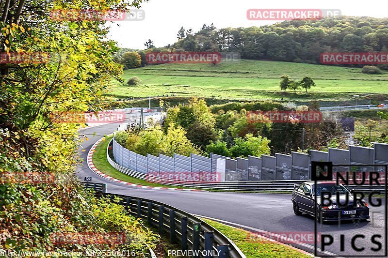 Bild #25506016 - Touristenfahrten Nürburgring Nordschleife (21.10.2023)