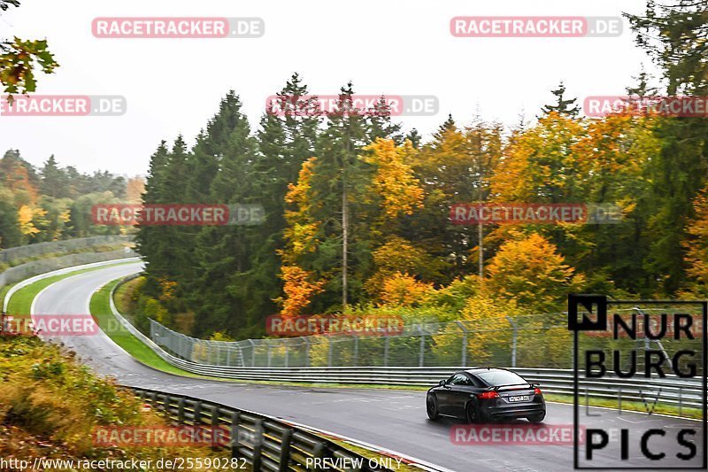 Bild #25590282 - Touristenfahrten Nürburgring Nordschleife (29.10.2023)