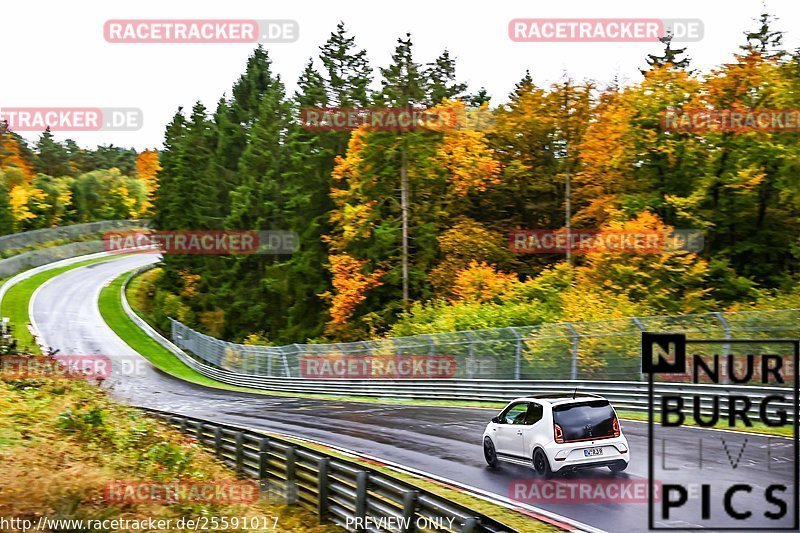 Bild #25591017 - Touristenfahrten Nürburgring Nordschleife (29.10.2023)