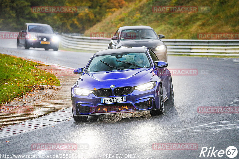 Bild #25598066 - Touristenfahrten Nürburgring Nordschleife (29.10.2023)