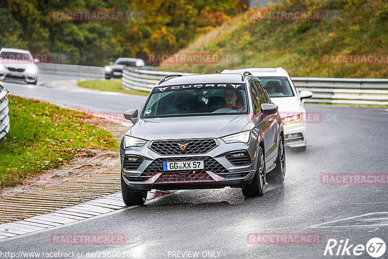 Bild #25600304 - Touristenfahrten Nürburgring Nordschleife (29.10.2023)