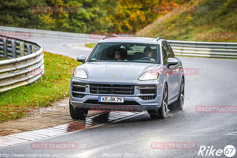 Bild #25600441 - Touristenfahrten Nürburgring Nordschleife (29.10.2023)