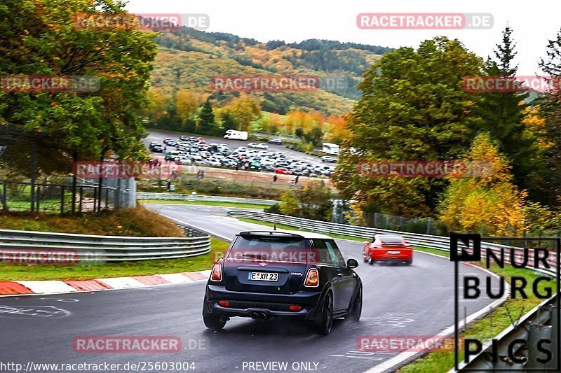 Bild #25603004 - Touristenfahrten Nürburgring Nordschleife (29.10.2023)