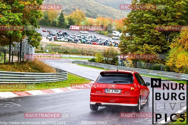 Bild #25603501 - Touristenfahrten Nürburgring Nordschleife (29.10.2023)