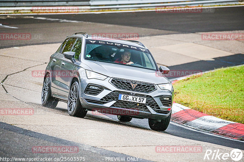 Bild #25603575 - Touristenfahrten Nürburgring Nordschleife (29.10.2023)