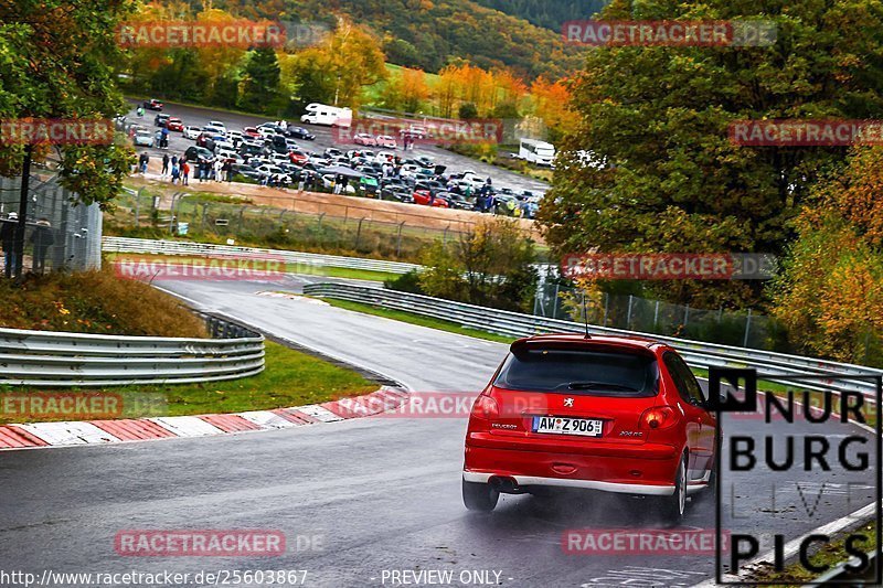 Bild #25603867 - Touristenfahrten Nürburgring Nordschleife (29.10.2023)