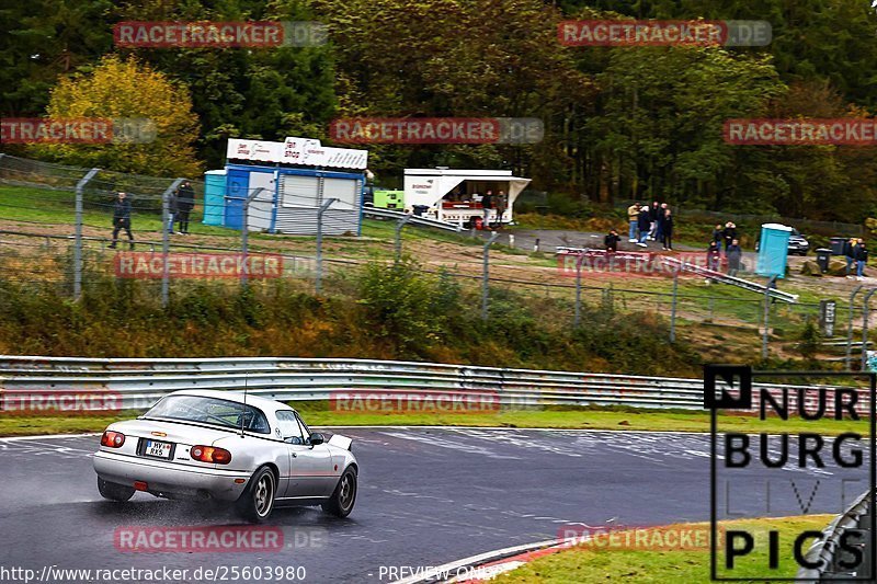 Bild #25603980 - Touristenfahrten Nürburgring Nordschleife (29.10.2023)