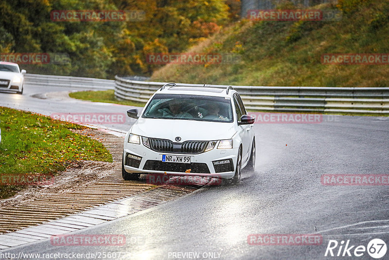 Bild #25607233 - Touristenfahrten Nürburgring Nordschleife (29.10.2023)