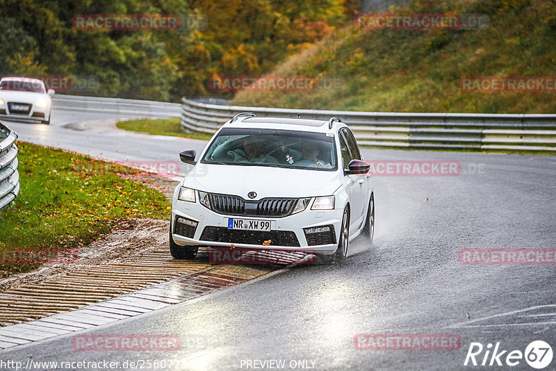 Bild #25607236 - Touristenfahrten Nürburgring Nordschleife (29.10.2023)