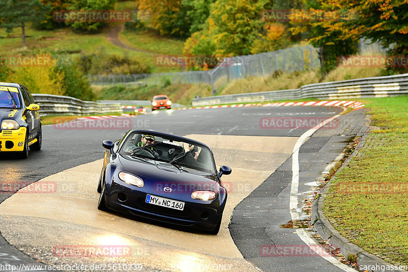 Bild #25610239 - Touristenfahrten Nürburgring Nordschleife (29.10.2023)